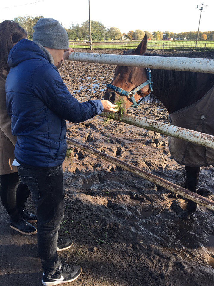 Елена Дронова | Таллин
