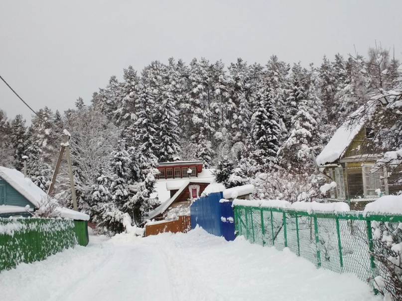 Юлия Коробченко | Санкт-Петербург