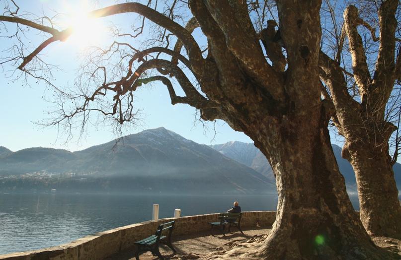 Дмитрий Мишин | Москва