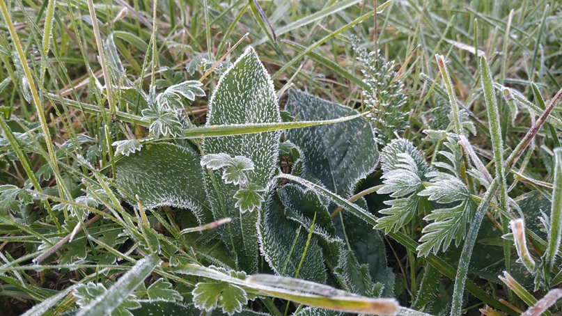 Татьяна Шумилина | Москва