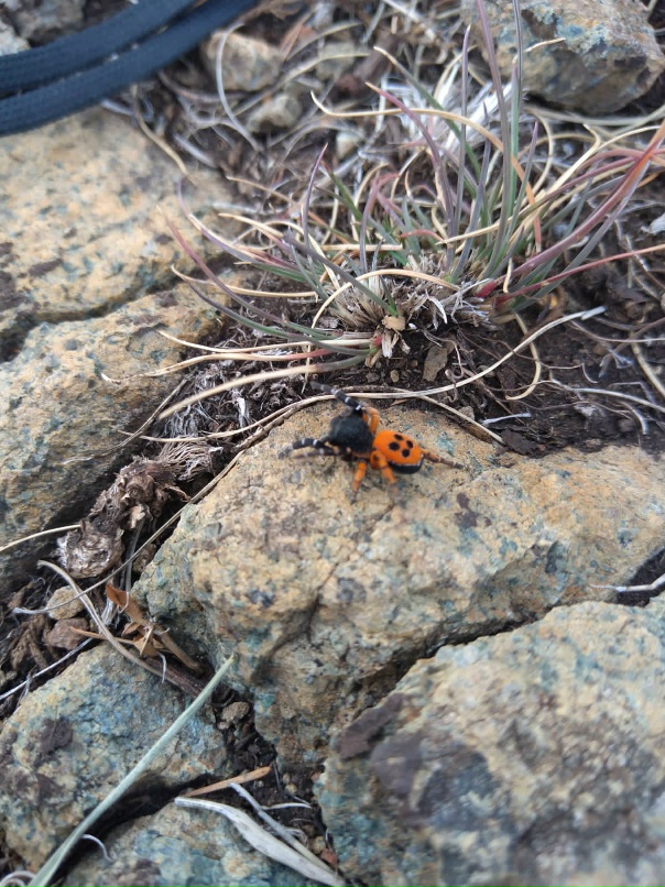 Елена Петрова | Екатеринбург