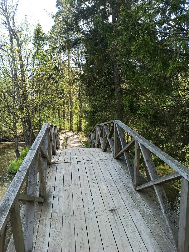 Елена Ноэль |