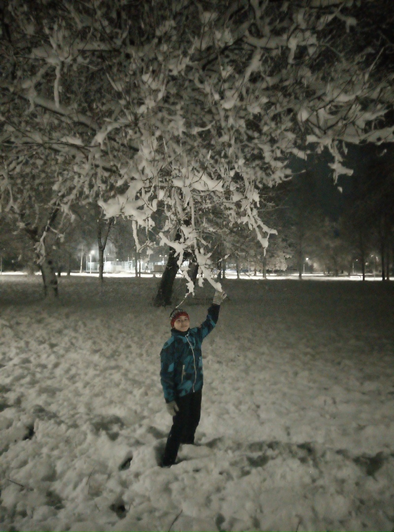 Елена Шилина | Ворсма