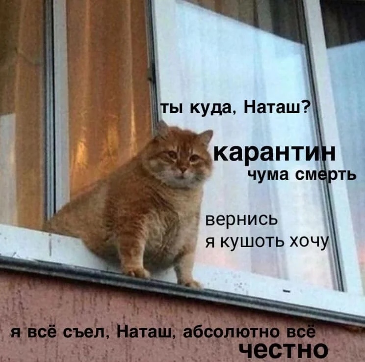 Наталья Богданова | Санкт-Петербург