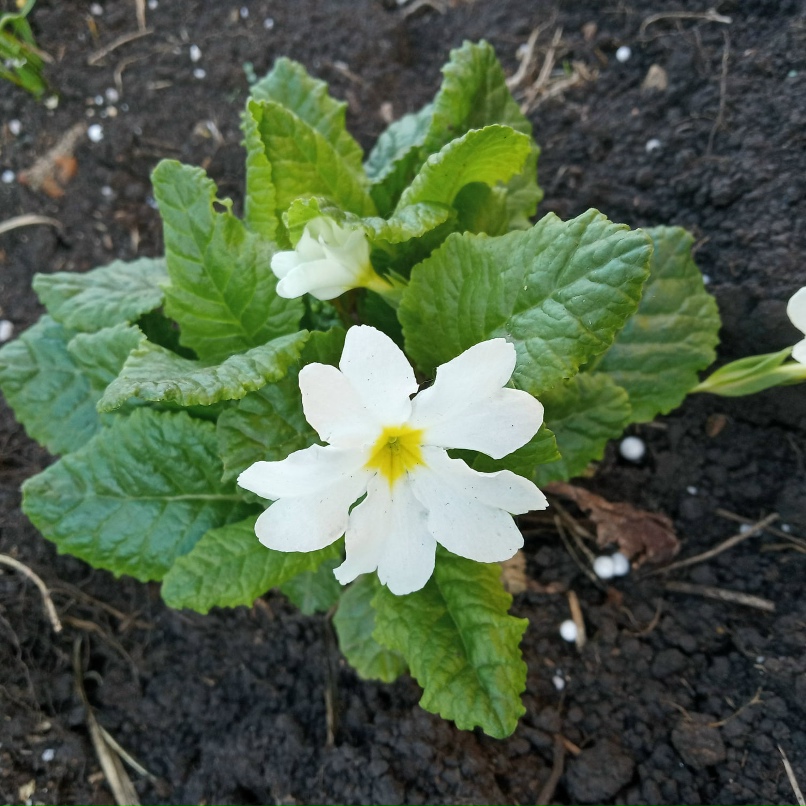 Наталья Федосеева | Уфа