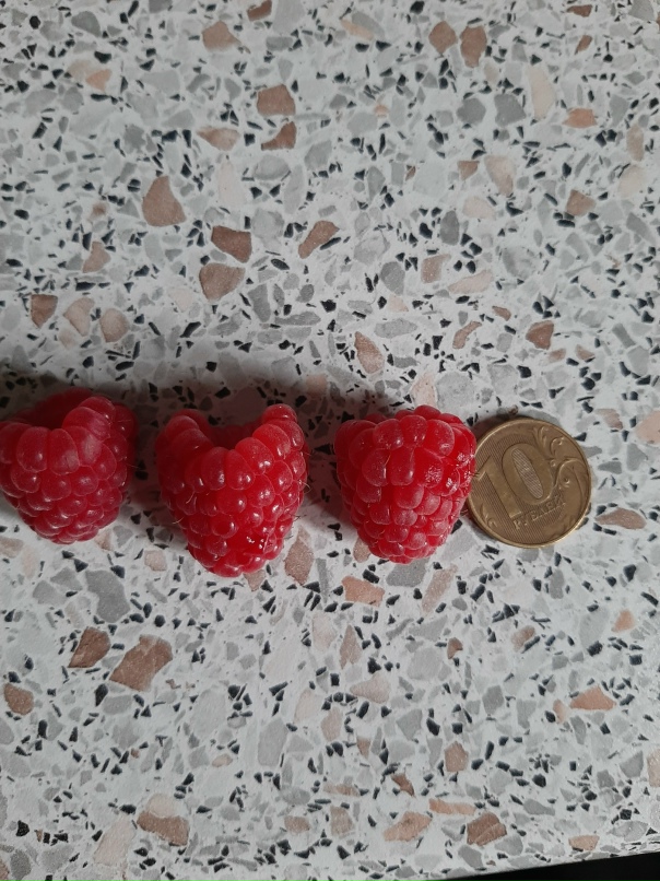 Наталия Рыжкова | Санкт-Петербург