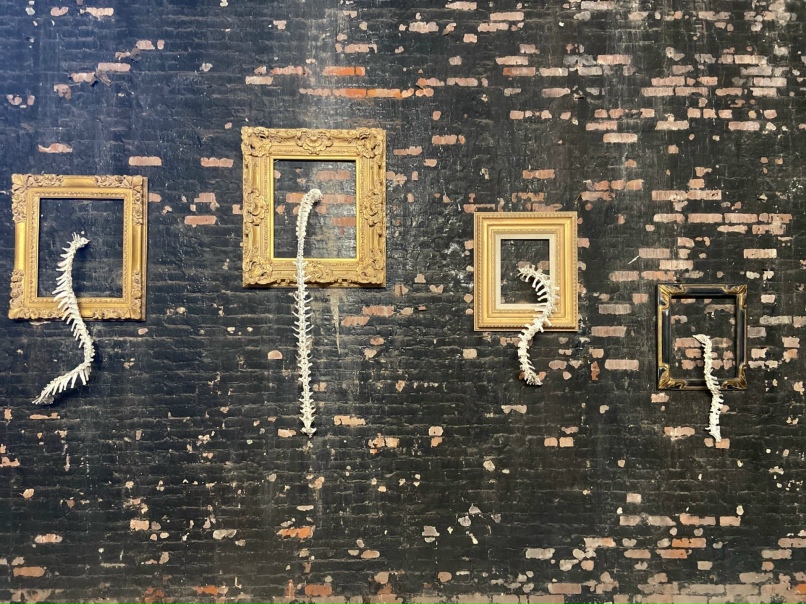 Наташа Данилина | New York City