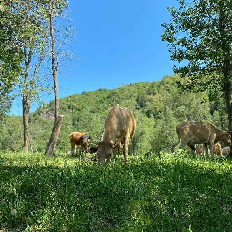 Тимур Гараев | Уфа