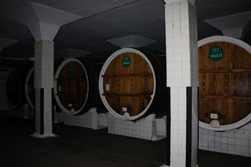 Антон Брежнев | Днепр (Днепропетровск)