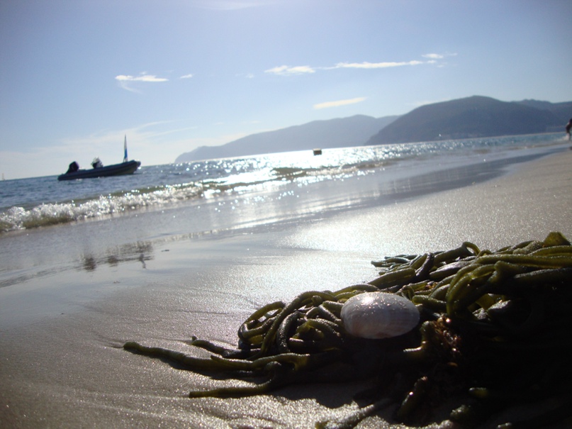 Елена Павлова Сандровна | Екатеринбург