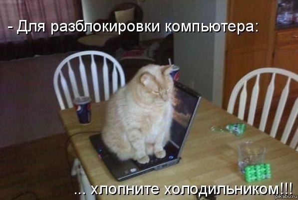 Владимир Зубенко люблю поржать | Санкт-Петербург