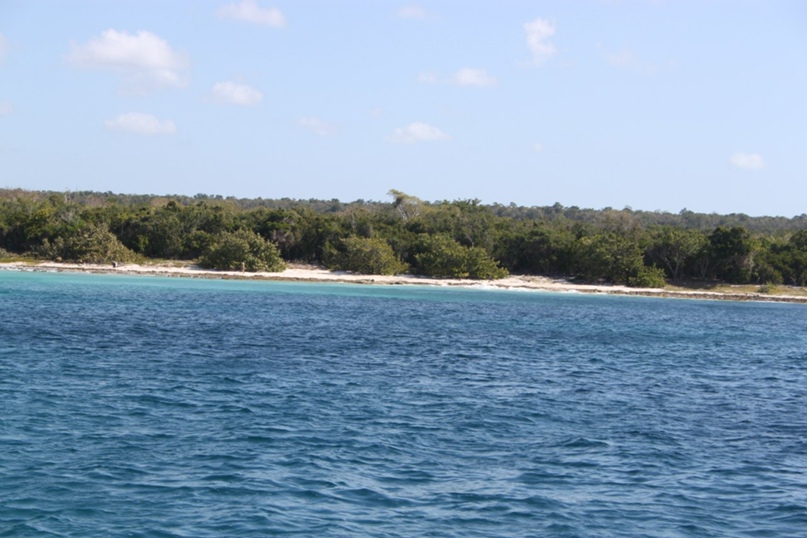 Михаил Винокуров My-xa-xa | Москва