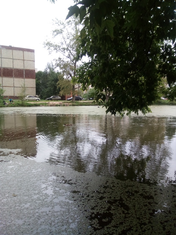 Дмитрий Щербина | Владимир