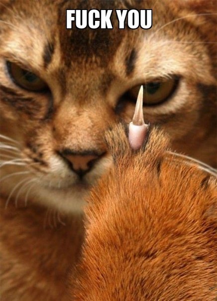 Юлия Кукуева | Самара