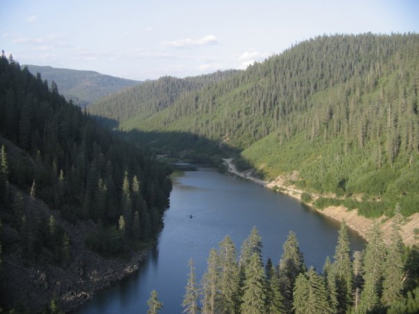 Михаил Сурков | Краснознаменск