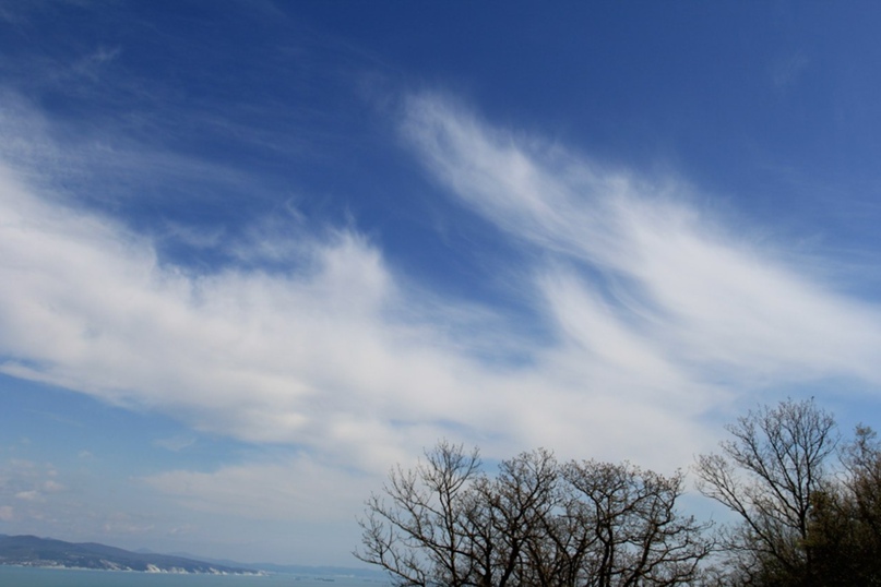 Дмитрий Трунов | Новороссийск