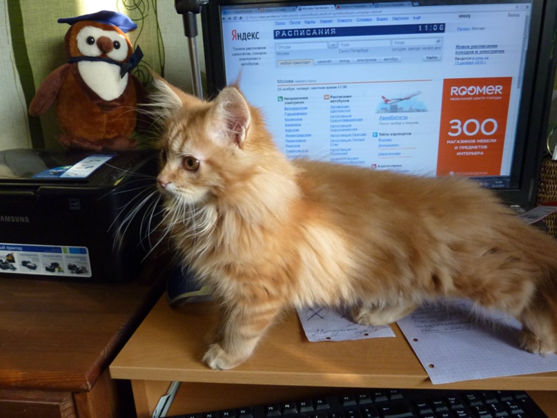 Наталья Ульянова | Москва