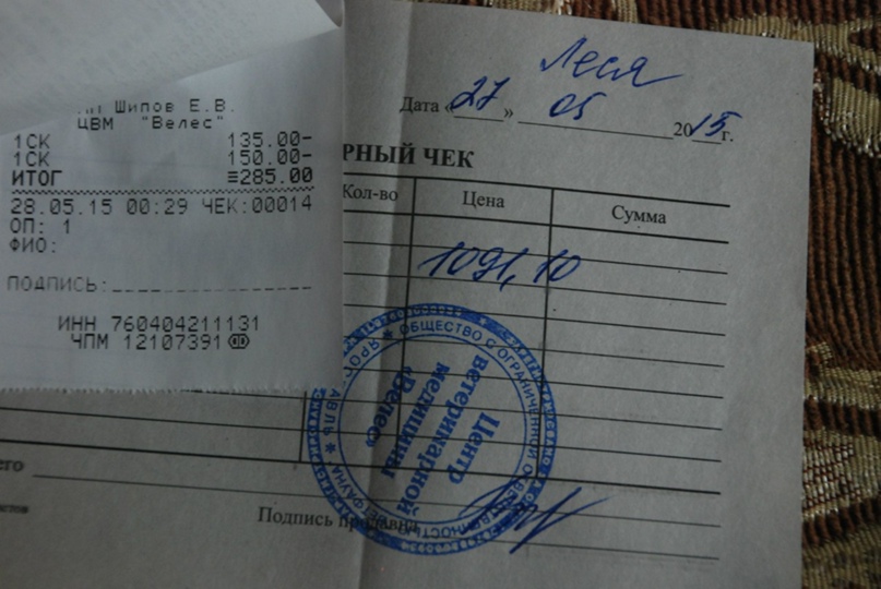 Полина Родионова | Ярославль
