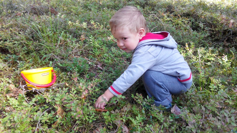 Сергей Зиборов zigizi | Москва