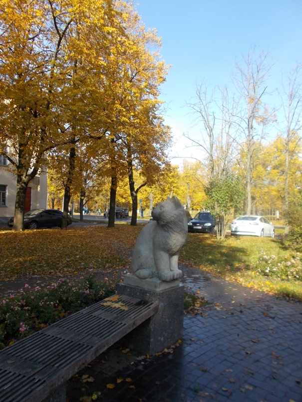 Валентина Журавлева | Санкт-Петербург