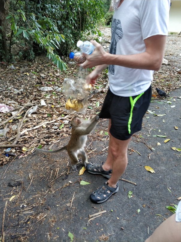 Василий Таранов | Москва