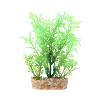 Дмитрий Межевов | Корсаков