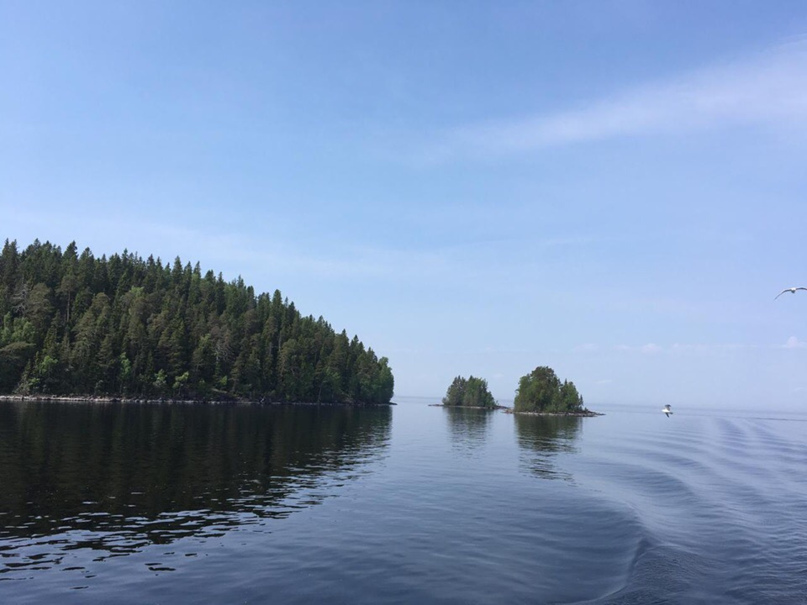 Наталья Строева NATALI | Обнинск