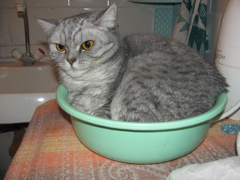 Евгения Носкова | Киров