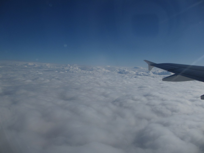 Марина Тихомирова | Санкт-Петербург