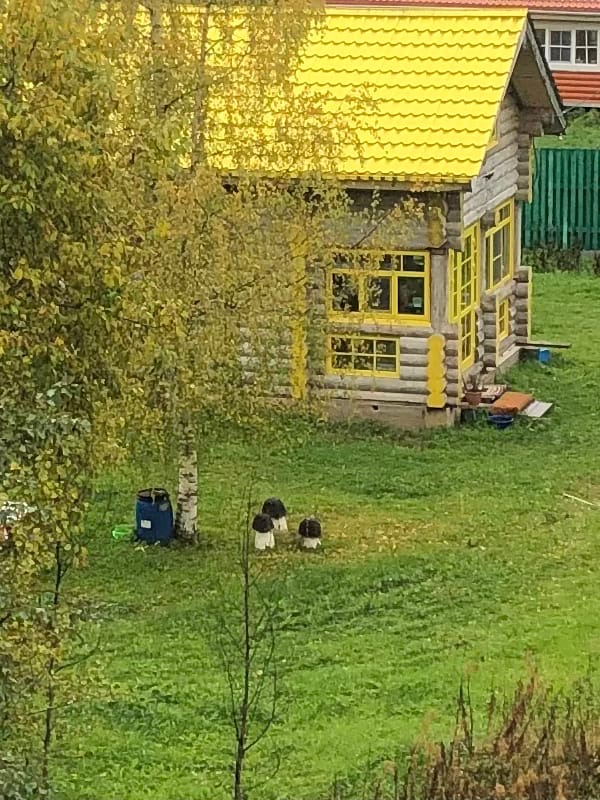 Ирина Захарова | Санкт-Петербург