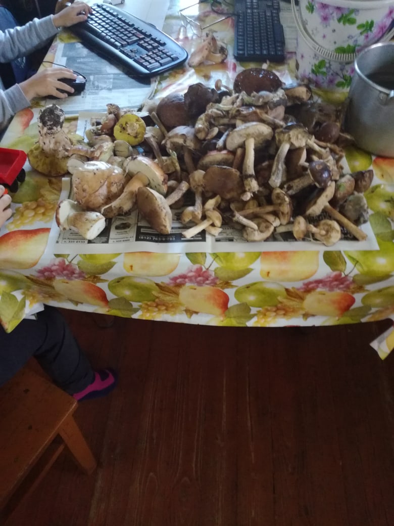 Слава Тихонов | Санкт-Петербург