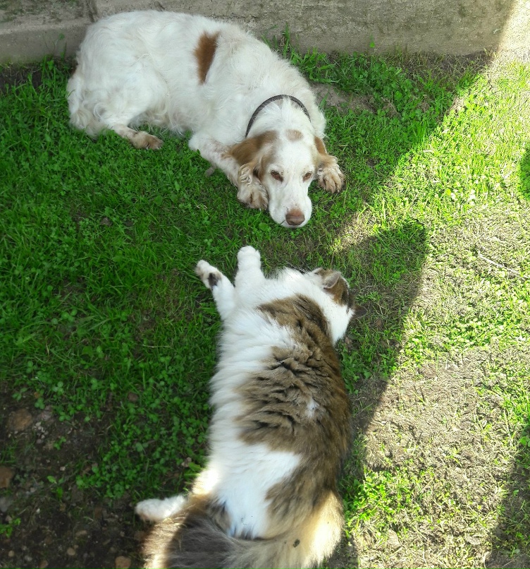 Анастасия Калинина | Санкт-Петербург