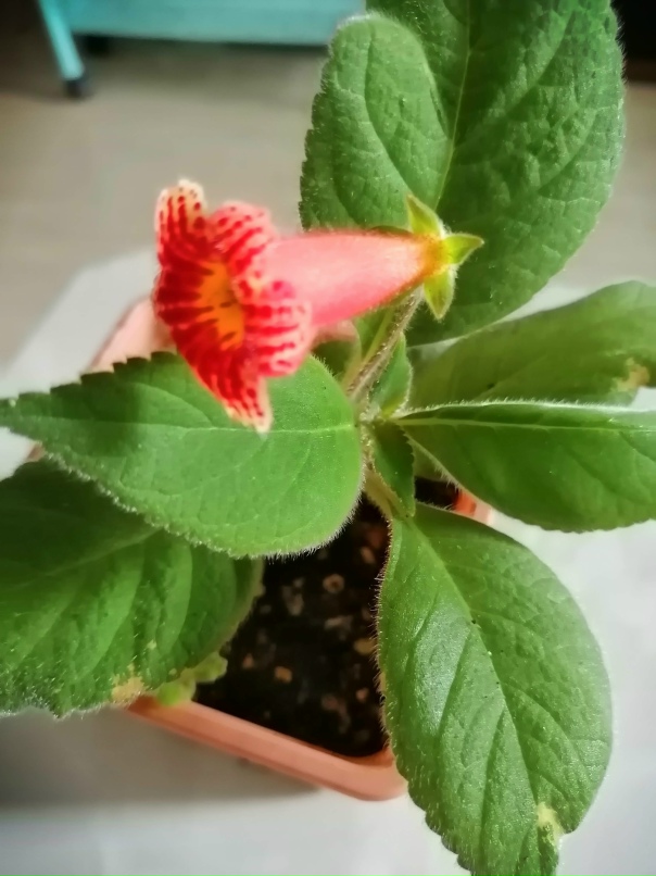 Елена Березина | Тюмень