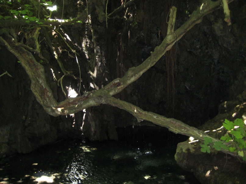 Елена Смолина | Нижний Новгород