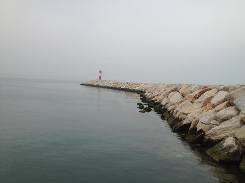 Алексей Родионов | Самара