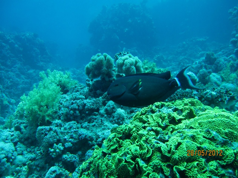 Юлия Кремнева | Москва