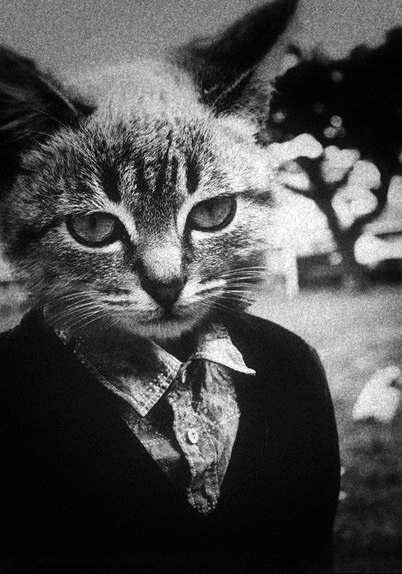 Николай Касьяненко | Черкассы