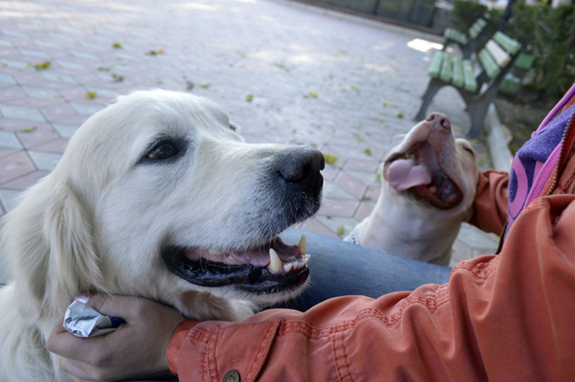 Юля Шуба ★J.S ★ | Симферополь