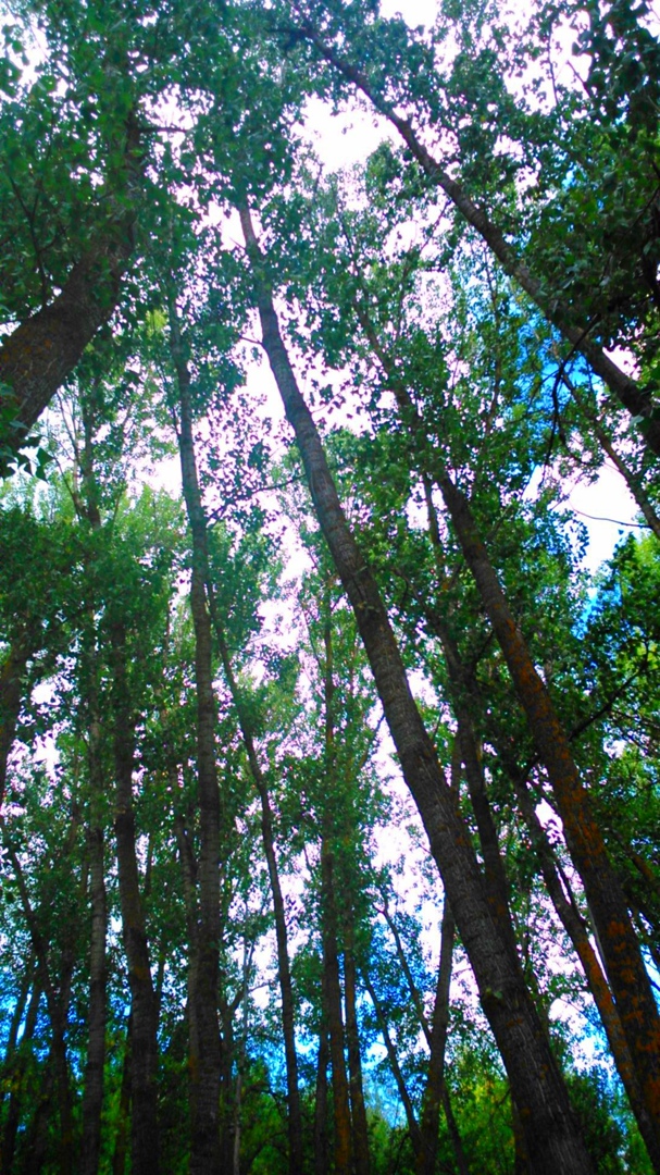 Виктория Селезнёва | Астрахань