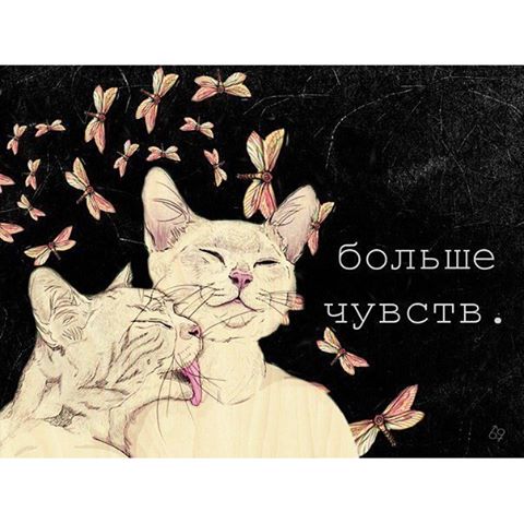 Сергей Шишкин | Санкт-Петербург