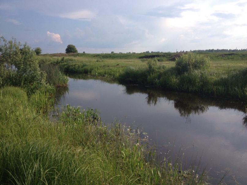 Антон Ануфриев | Харьков