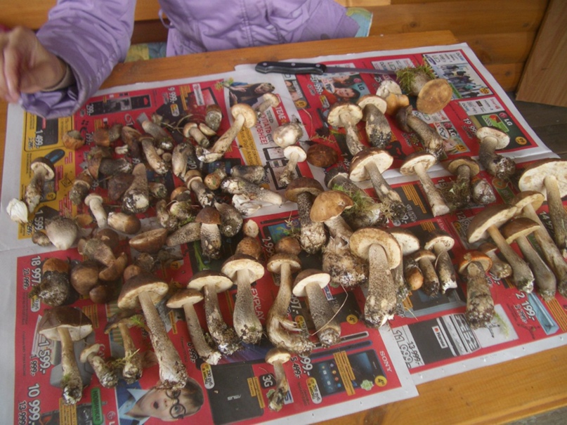 Костя Кожевников | Севастополь (село)