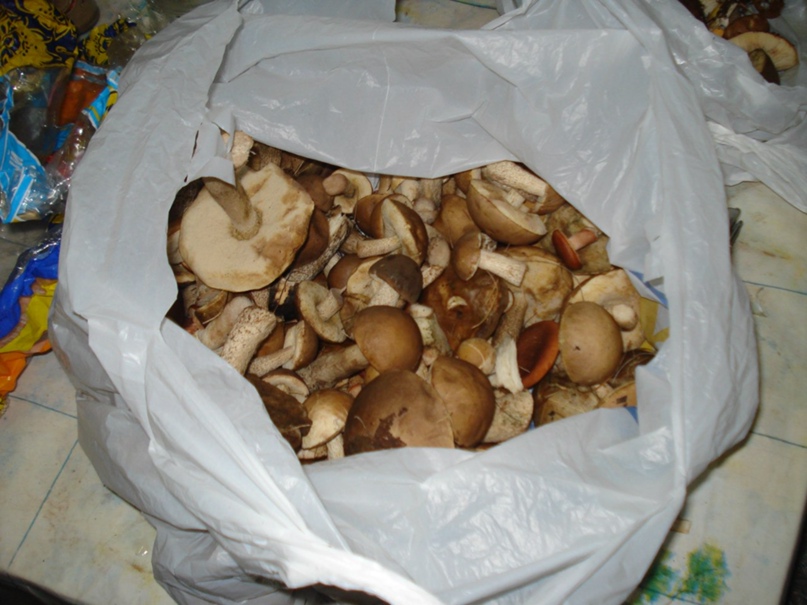 Катерина Зуева Валерьевна | Санкт-Петербург