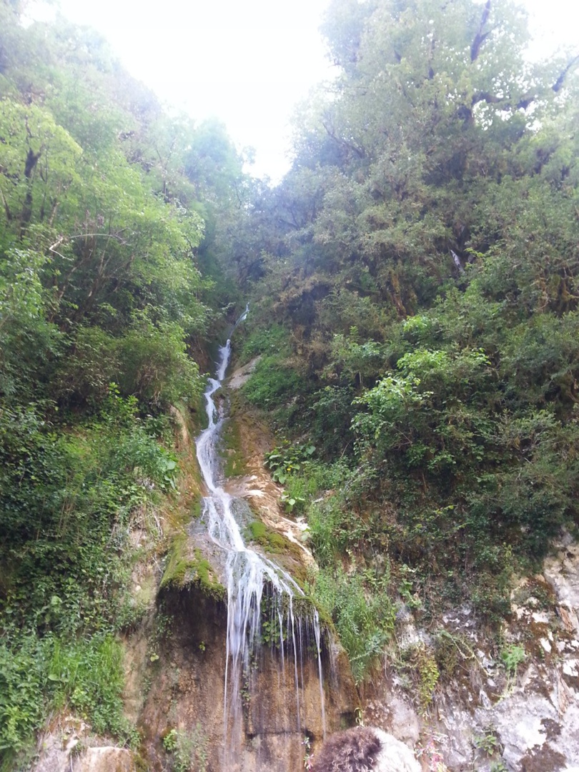 Елена Иваненко | Челябинск