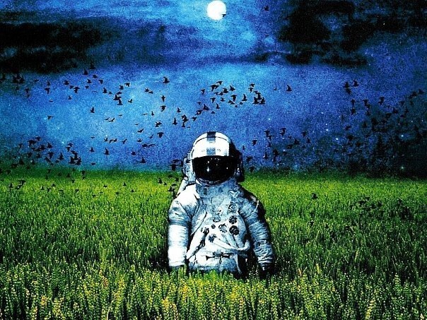 Сергей Бортник | Нововолынск