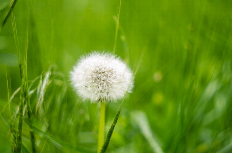 Александр Вишняк | Кривой Рог