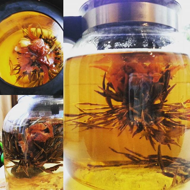 Илья Бирюков | Москва