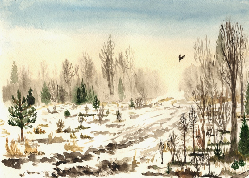 Михаил Савинов | Санкт-Петербург