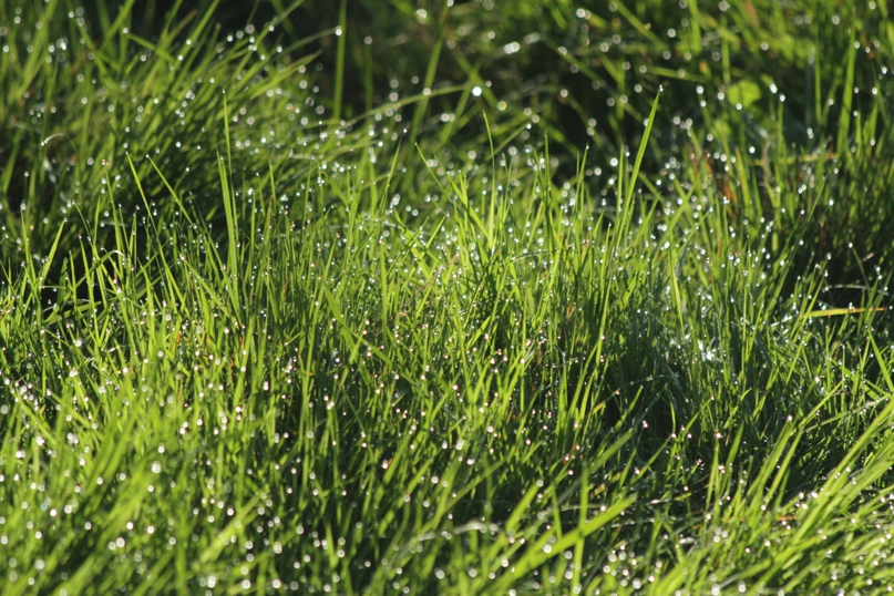 Игорь Воскресенский | Санкт-Петербург