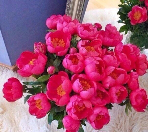 Анна Лукина | Санкт-Петербург